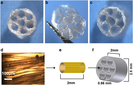 Ben Newland Research - Gene Therapy via a collagen conduit