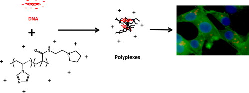 Ben Newland Research - European Journal of Pharmaceutics and Biopharmaceutics, 2012, 82, 465-474